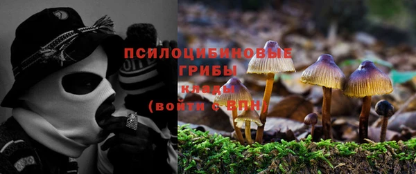 прущие крисы Ишимбай